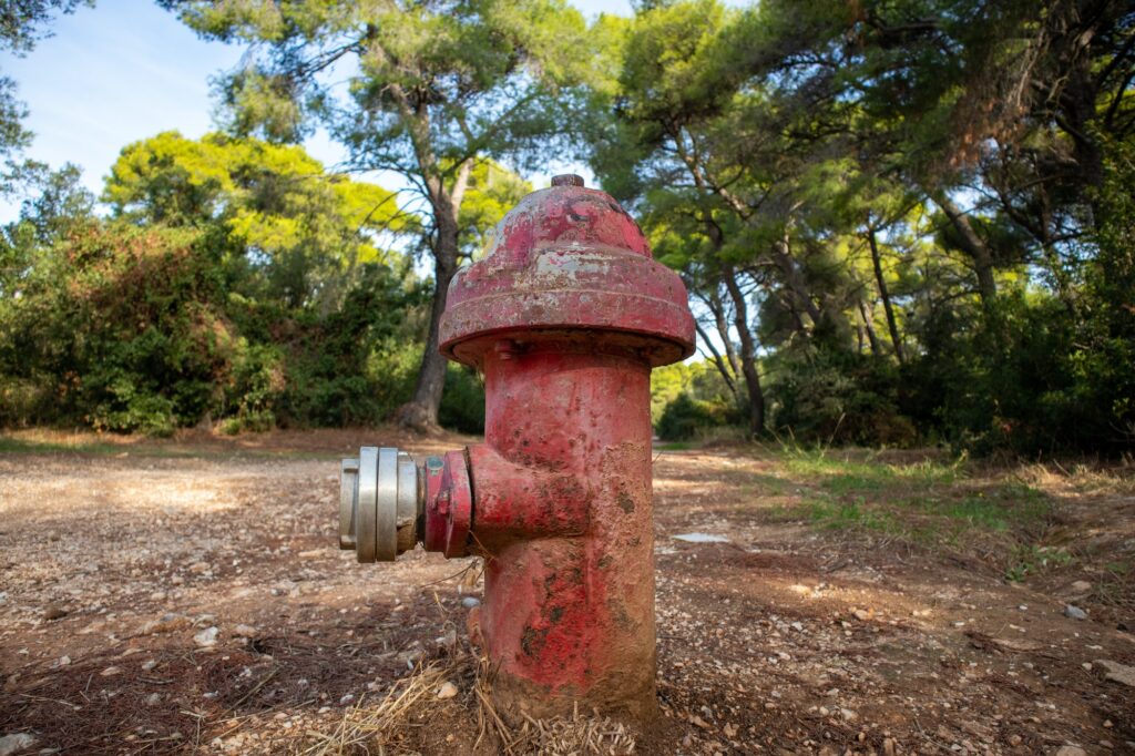 Firefighting public system fire hydrant red color outdoors in forest background.